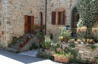 Fonterutoli flower garden